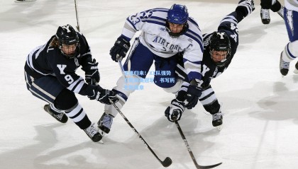 王者归来！XX队强势卫冕联赛冠军，书写历史新篇章