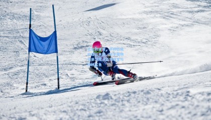 北伦敦迷雾，萨利巴续约疑云未散，枪手猎物清单浮现水晶宫瑰宝与神秘鲨鱼